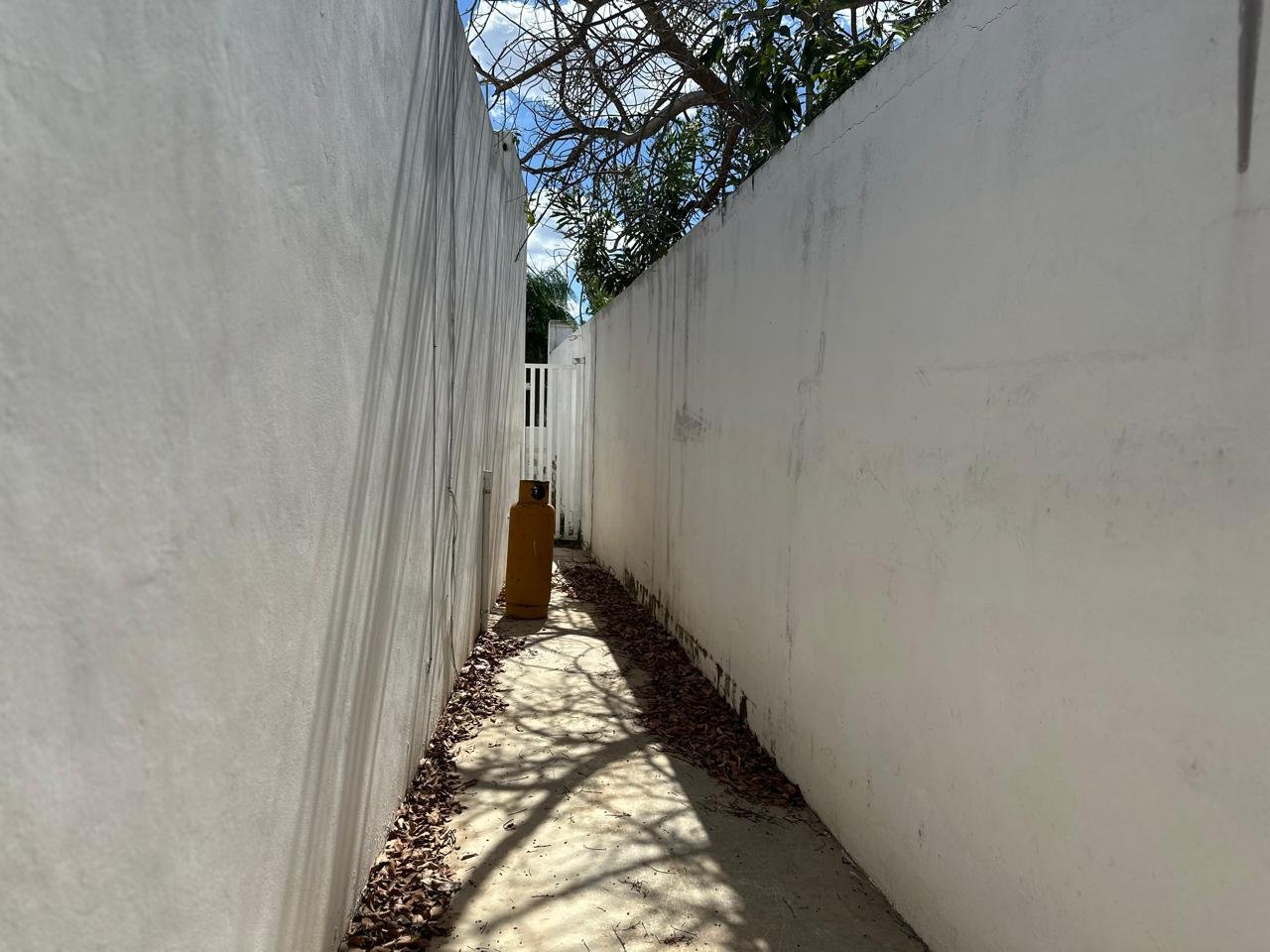 Casa en renta de una planta Gran Santa Fe Norte