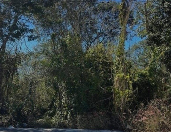 Venta de 2 terrenos en la Ceiba 2